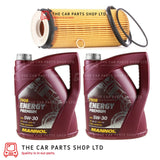 FITS BMW 325D E90 E91 SERVICE 10 LITRES OIL + OIL FILTER BRAND NEW