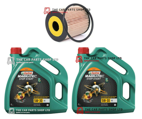 TO FIT FORD TOURNEO CUSTOM 2.2 TDCI 2012> SERVICE KIT OIL FILTER & 8L CASTROL
