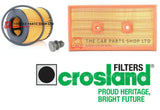 TO FIT VW JETTA FSI 2004-2011 CROSLAND REPLACEMENT FILTERS AIR AND OIL FILTER