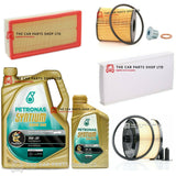 FOR PEUGEOT 407 MK1 BELLAGIO FULL SERVICE KIT & 6L PETRONAS PREMIUM 5W30 OIL