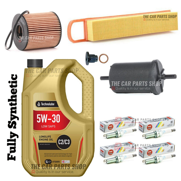 FOR PEUGEOT 207 1.4 1.6 PETROL ENVY FULL SERVICE KIT WITH NGK PLUGS X  4