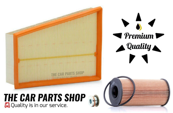 FOR RENUALT MEGANE GT LINE 2.0 DCI MK3 NEW OIL FILTER & AIR FILTER SERVICE KIT